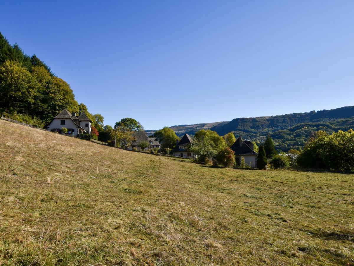 Vic-sur-Cère Beautiful Villa In The Parc Des Volcans D Auvergne מראה חיצוני תמונה